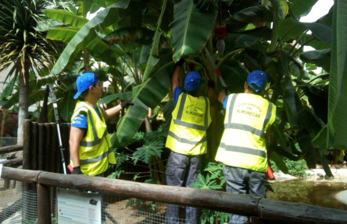 ALUMNOS AGRICULTURA DURANTE PRACTICAS EN PARQUES 18