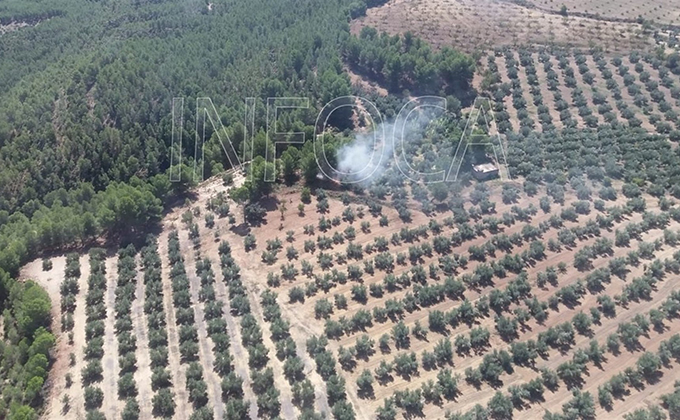 incendio cuevas del campo