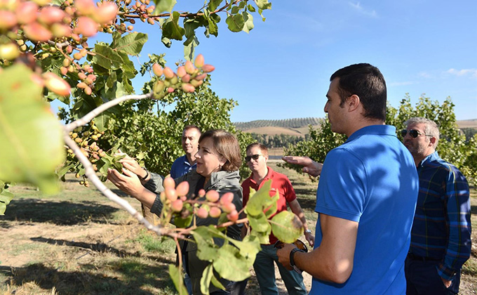 visita comarca los montes guadahortuna agricultura