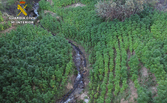 marihuana alpujarra