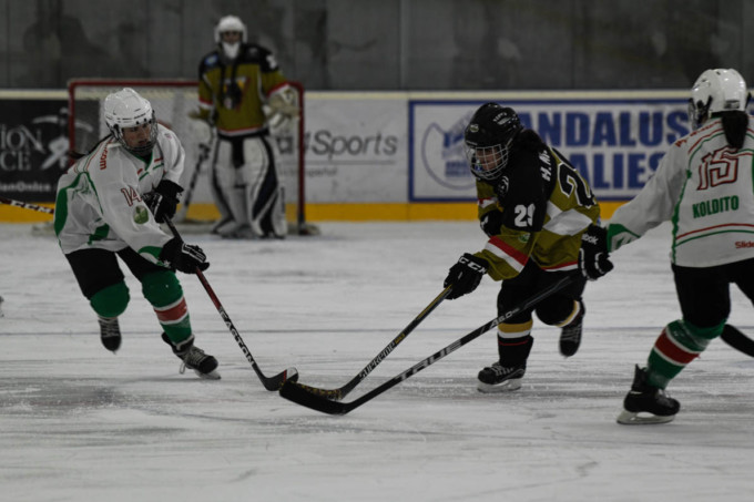 GRANADA-GRIZZLIES-HOCKEY-FEMENINO-CD-SUMENDI