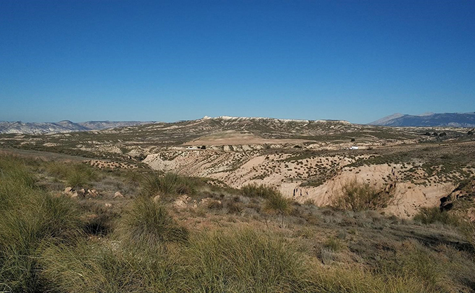 zona macrogranja cerdos