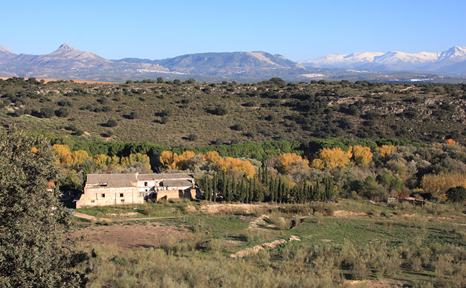 futura madrasa_granada_