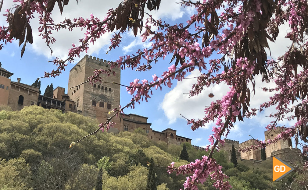 Alhambra - primavera - Antonio L Juarez