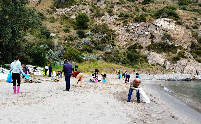 LIMPIEZA VOLUNTARIOS PLAYA EL BERENGUEL 19