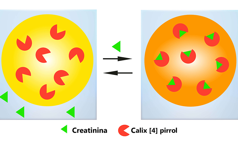 ilustracion de la membrana