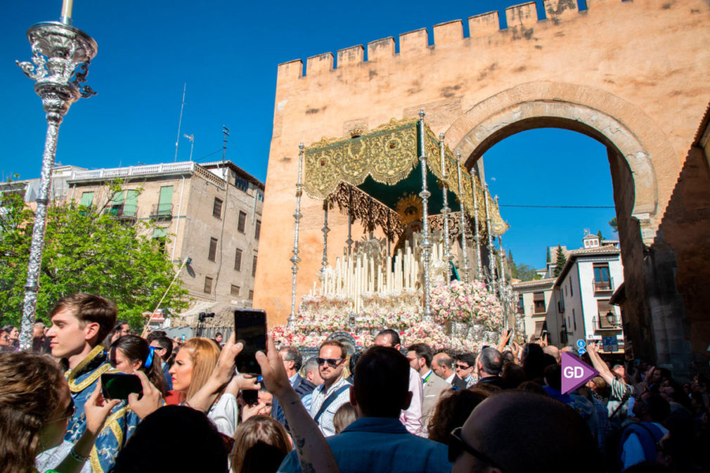 Borriquilla Domingo de Ramos (18)