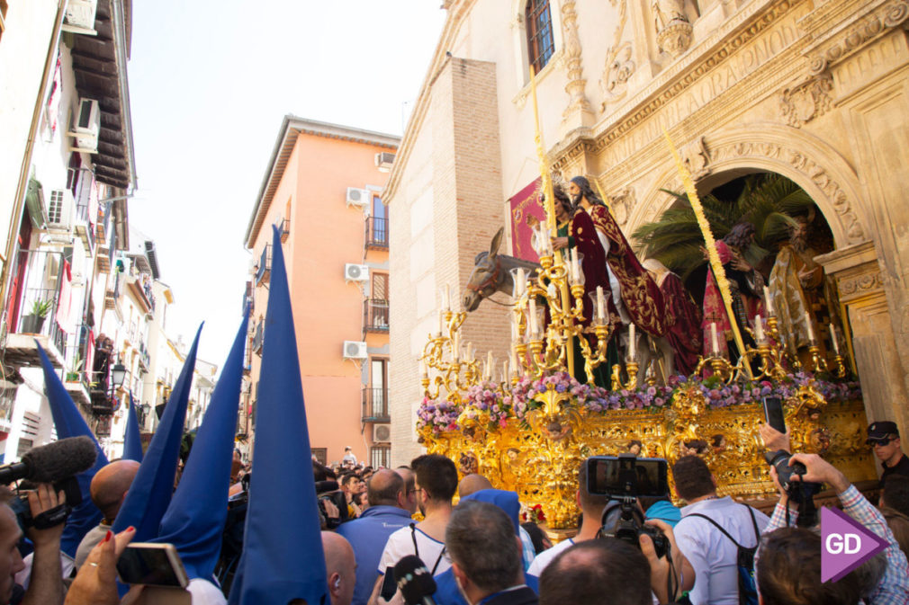 Borriquilla Domingo de Ramos (4)