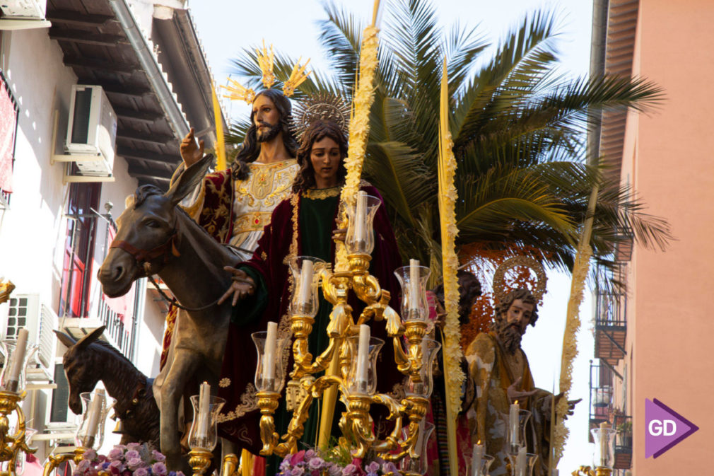 Borriquilla Domingo de Ramos (6)