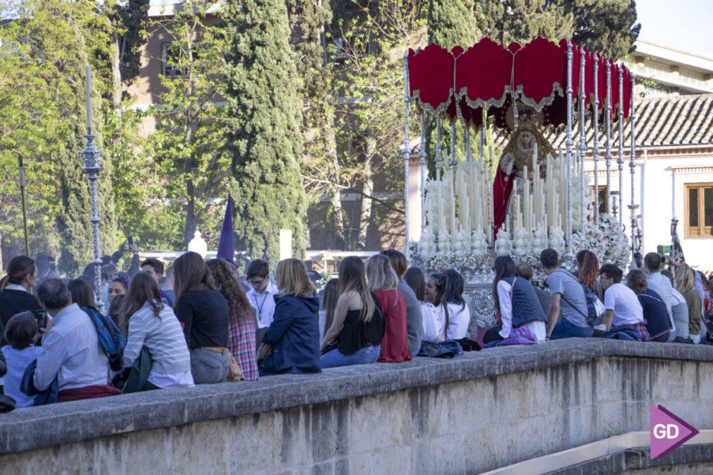 Martes Santo Semana Santa 2019 Foto Antonio L Juarez-2231