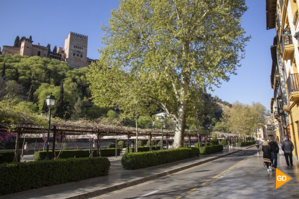 Primavera granada alhambra flores darro paseo tristes plaza nueva turismo buen tiempo-2