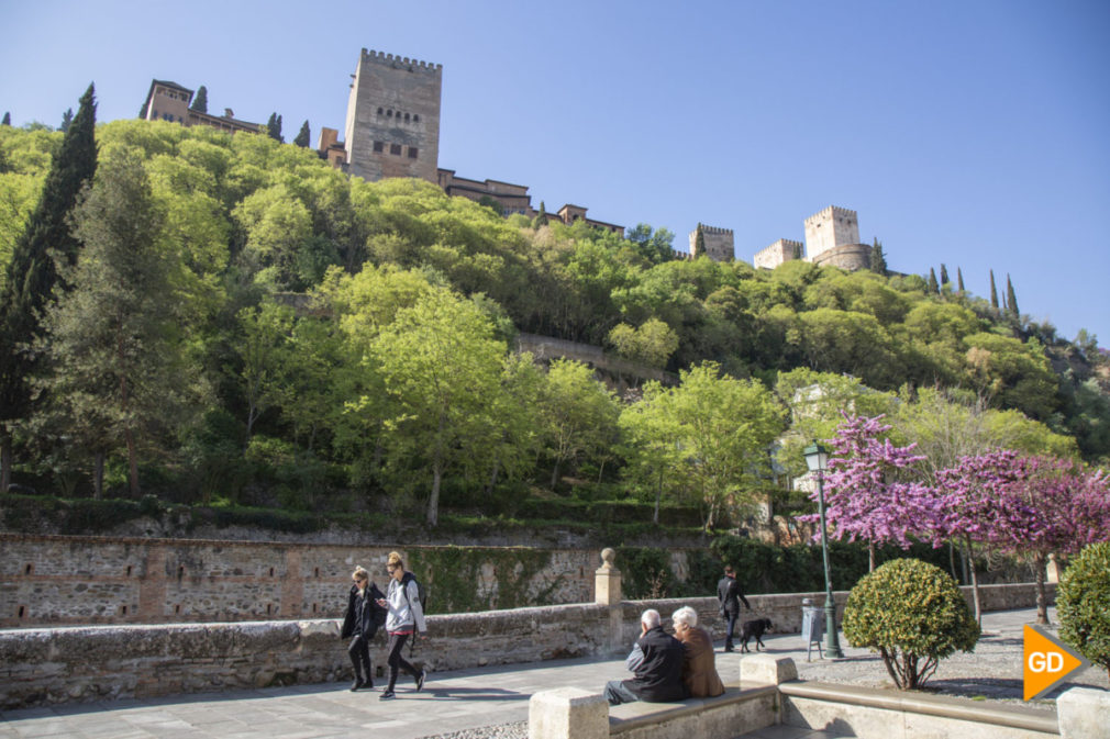 Primavera granada alhambra flores darro paseo tristes plaza nueva turismo buen tiempo-6