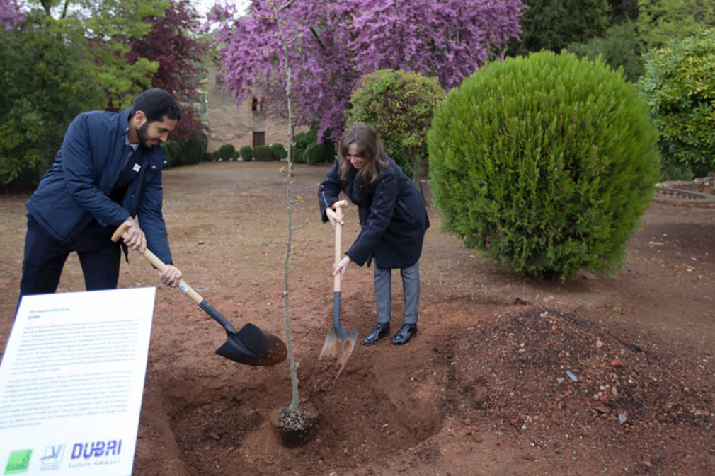 arbol dubai alhambra