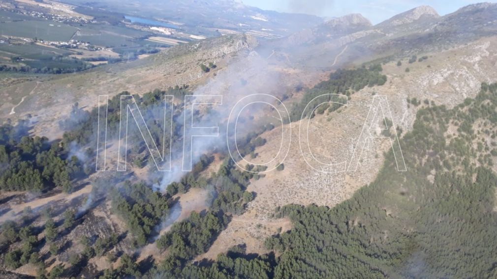 incendio sierra elvira Pinos Puente+