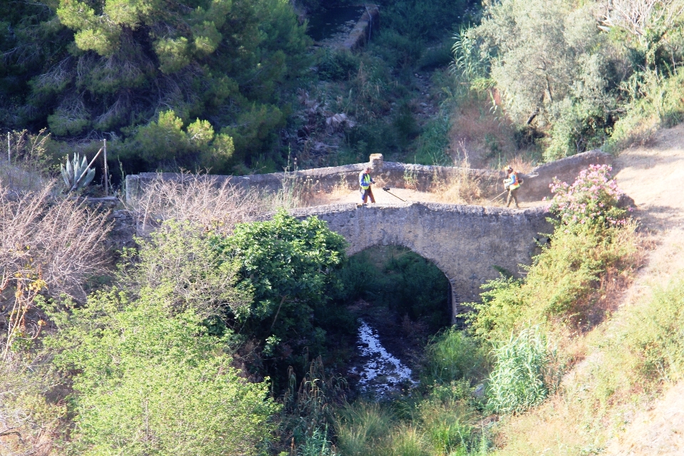 OPERARIOS EN LA LIMPIEZA DEL PUENTE ROMANO EN COTOBRO Y ACCESOS 19