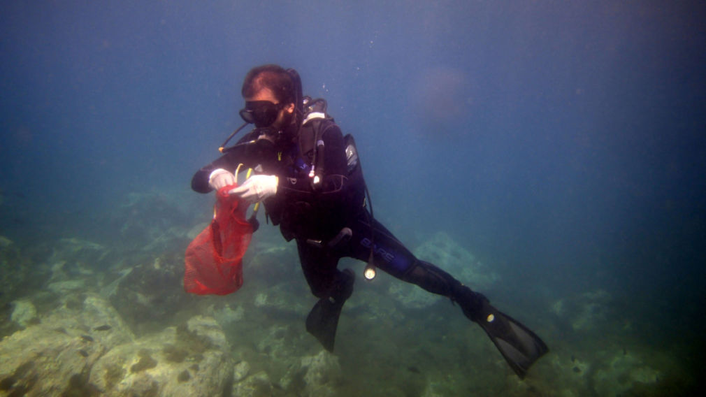 buzo Posidonia oceánica