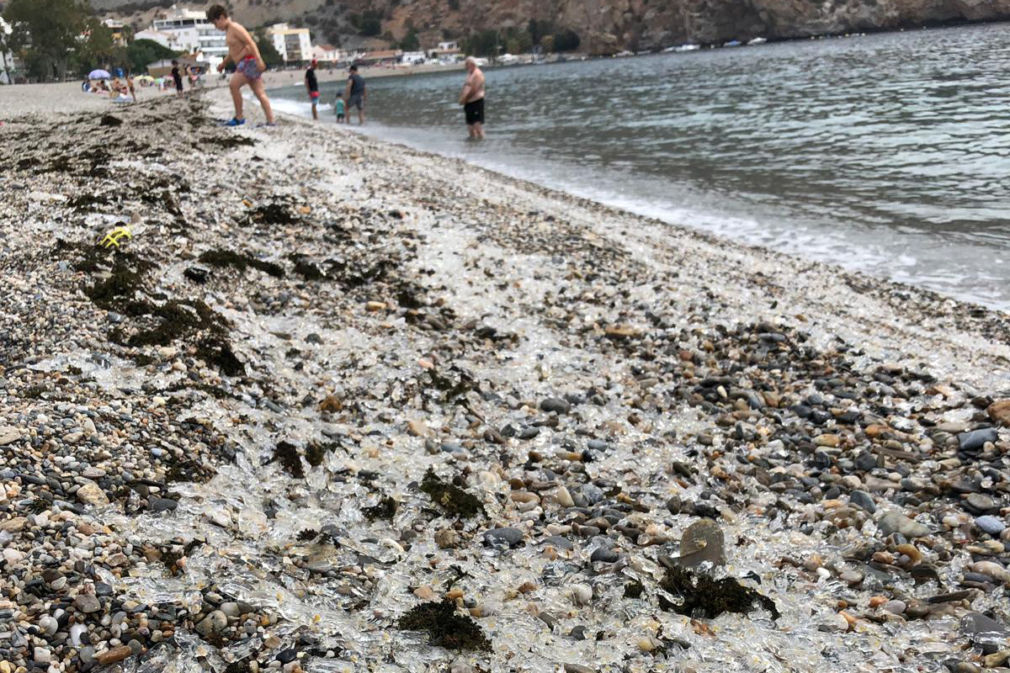 playa calahonda medudas 2