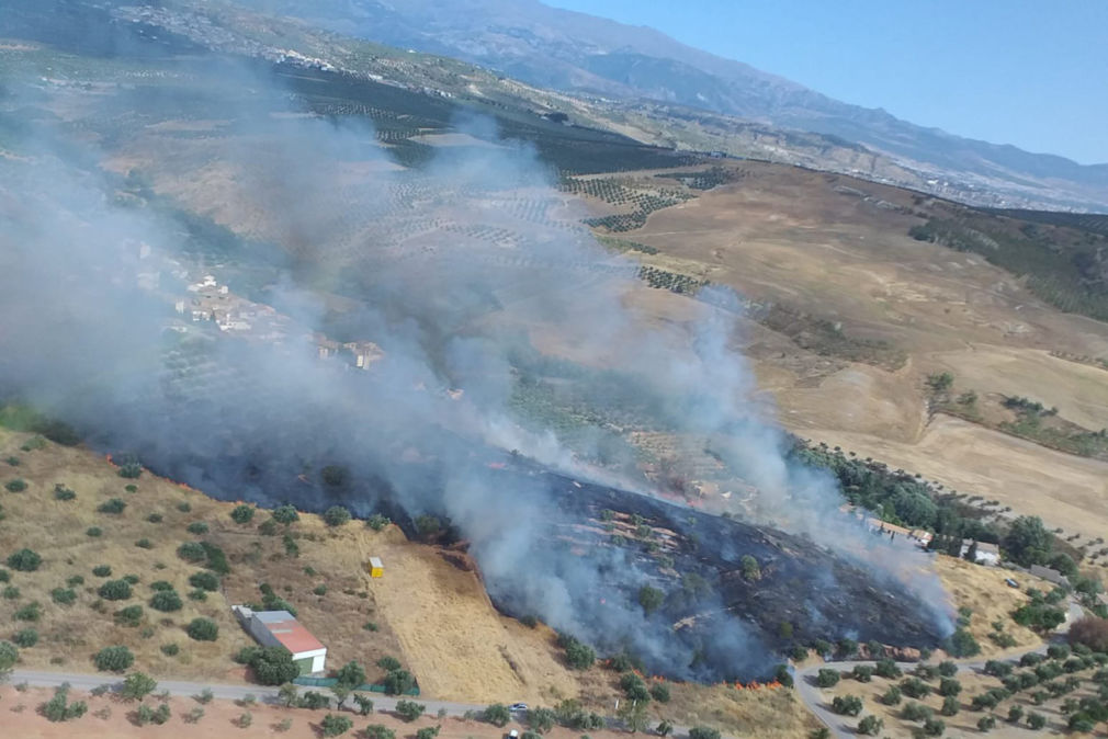 calicasa incendio