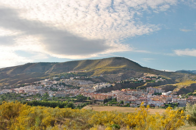 cenes de la vega