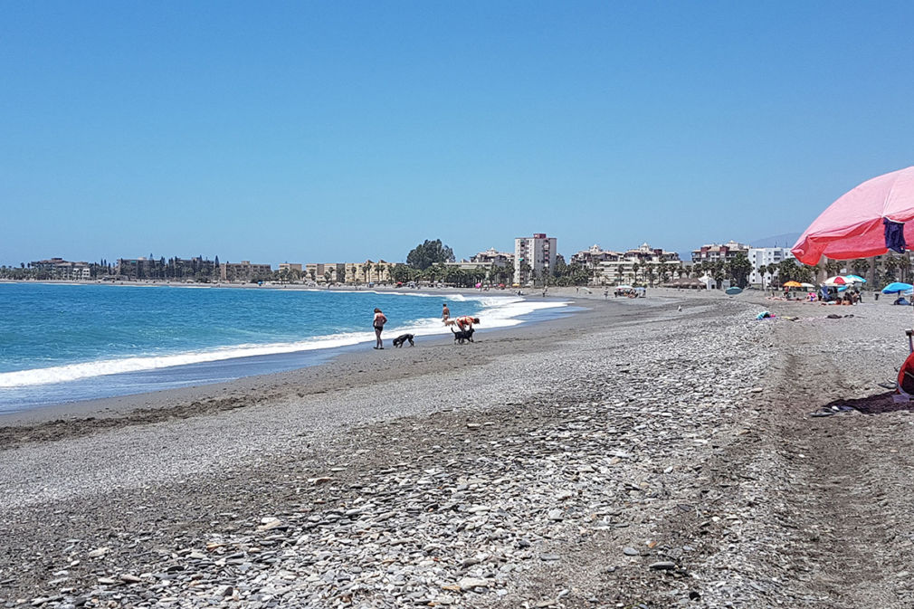 playa perros El Cable Motril