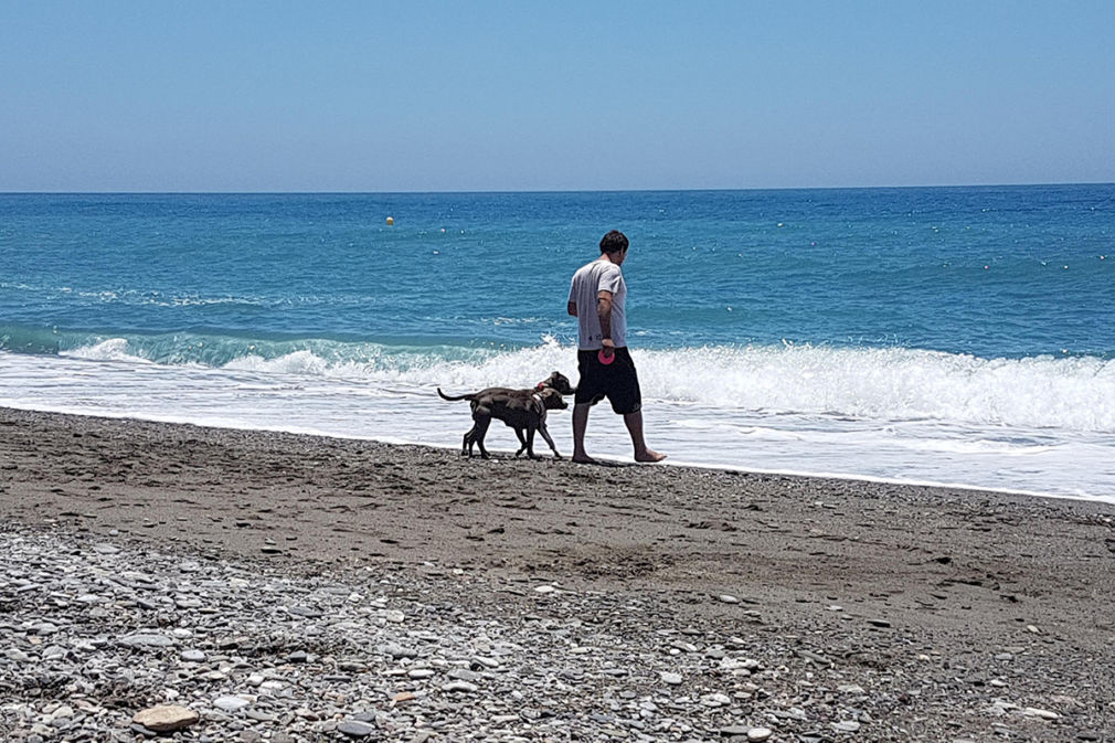 playa perros El Cable Motril 2