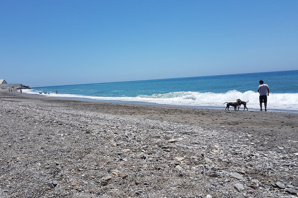 playa perros El Cabre Motril 3