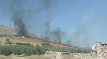 INCENDIO ALAMEDILLA