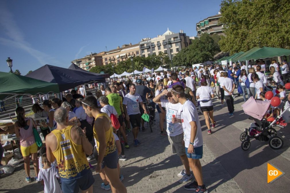 FIESTA DE LA SALUD 2019 GRANADA - Dani B-2