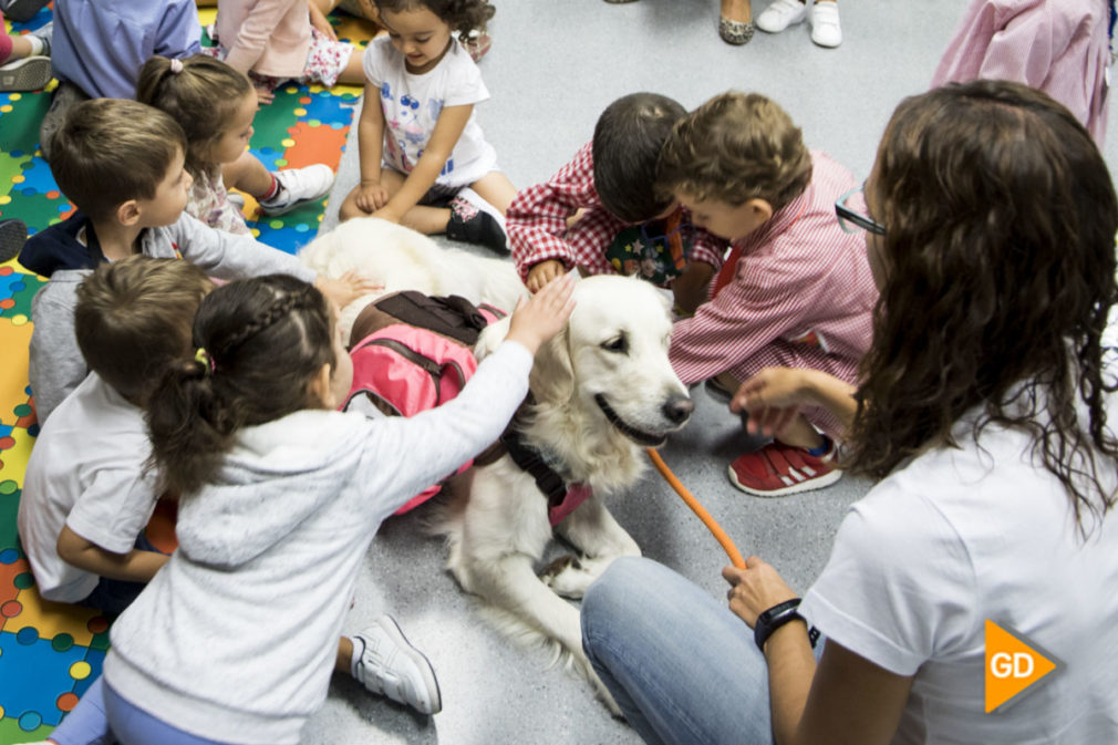 Gala, la supermascota del colegio Fuentenueva_Sara Castaño (2 de 3)