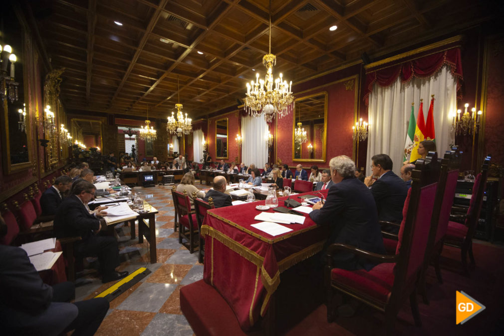 Pleno del ayuntamiento de Granada