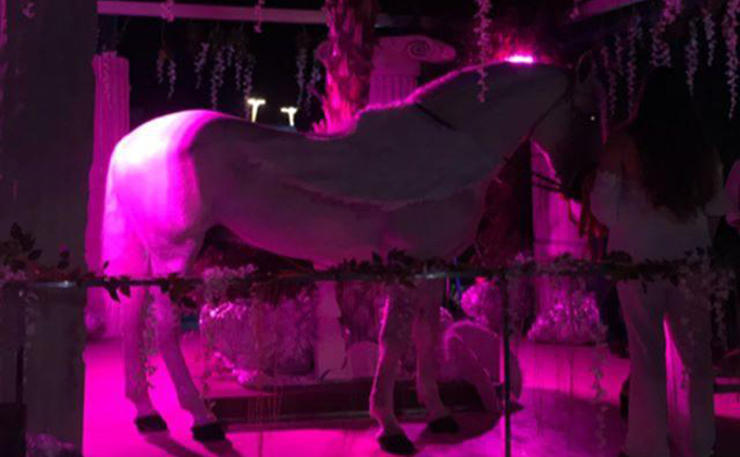 caballo en Mae West - Foto @GL2G