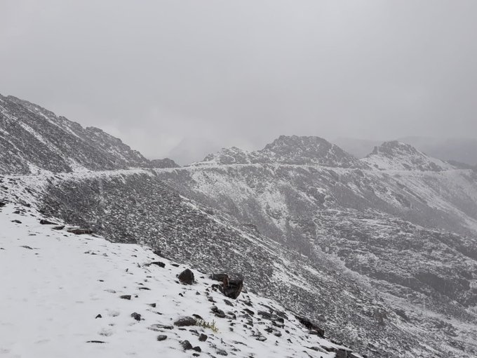 carihuela hielo 2