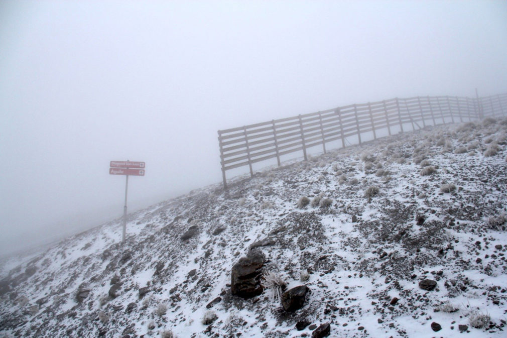 sierra nevada primeras nieves