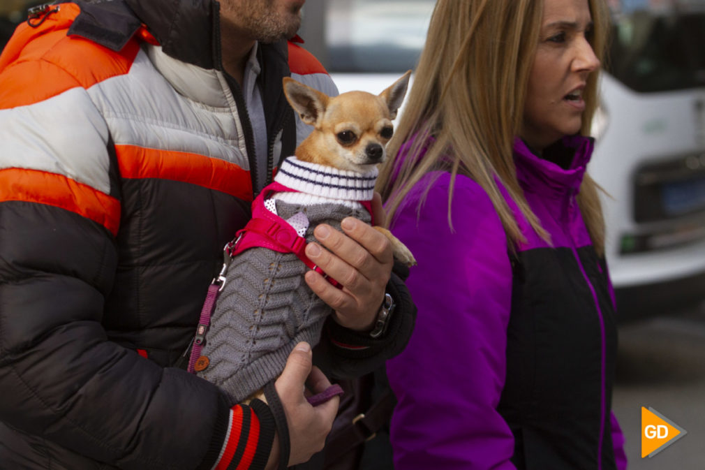 Frio en Granada