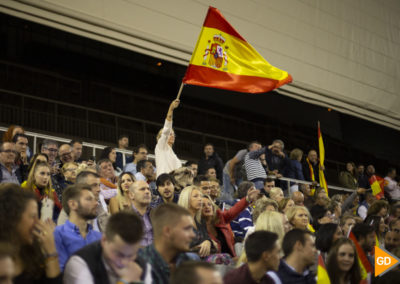 Mitin de Santiago Abascal en Granada