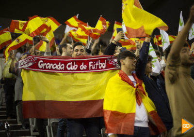 Mitin de Santiago Abascal en Granada