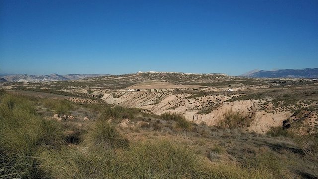 MACROGRANJAS EN EL ALTIPLANO GRANADA DEHESAS DE GUADIX