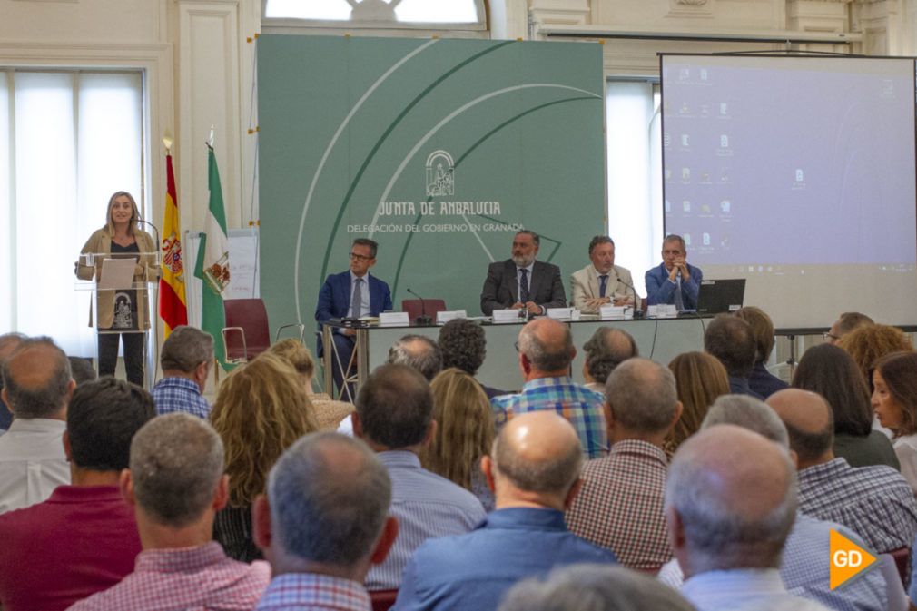 encuentro de Marifran Carazo con los alcaldes y tecnicos para informales del nuevo decreto