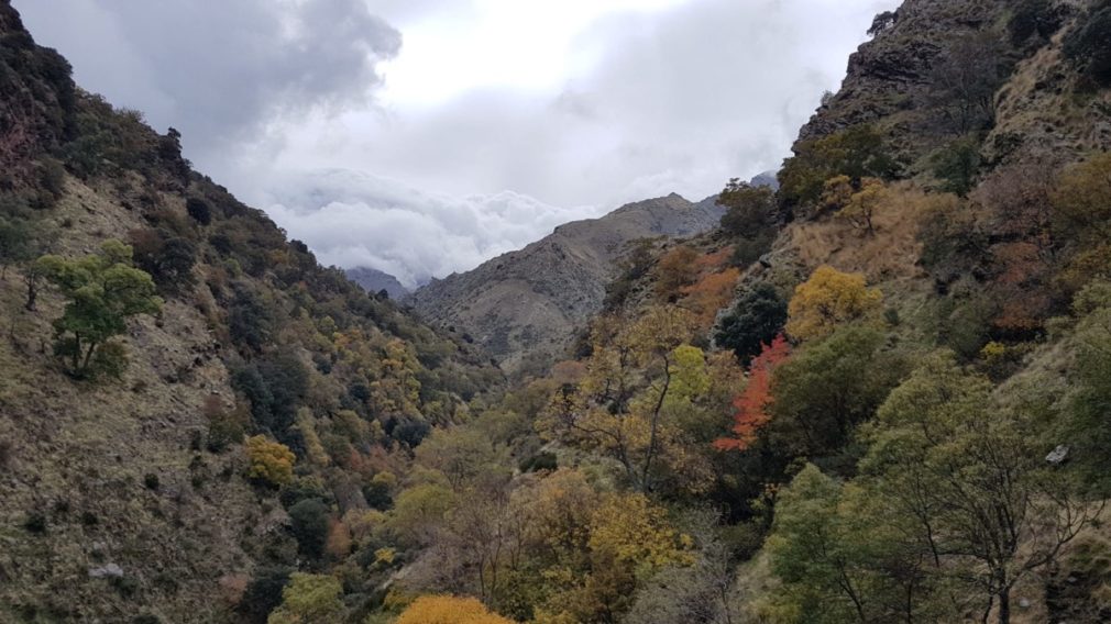 dehesa del Camarate Lugros bosque encantado