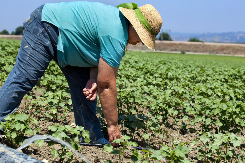 agricultura