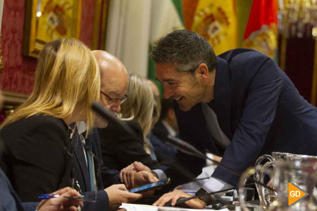 Pleno del Ayuntamiento de Granada del mes de diciembre