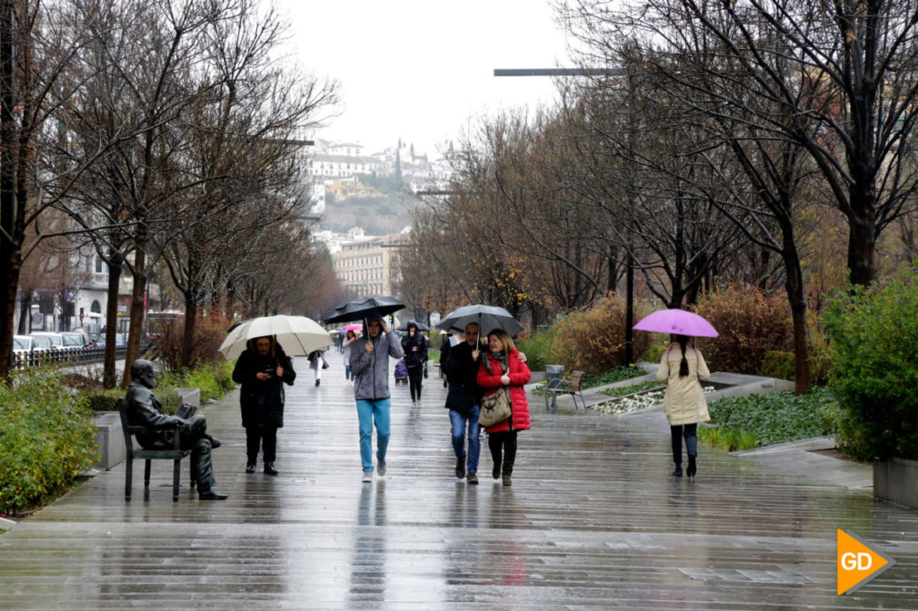 Fotos LLuvia (2)