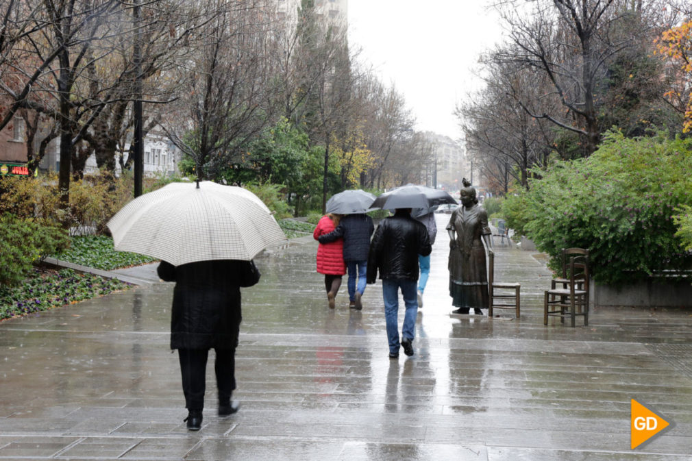 Fotos LLuvia (3)