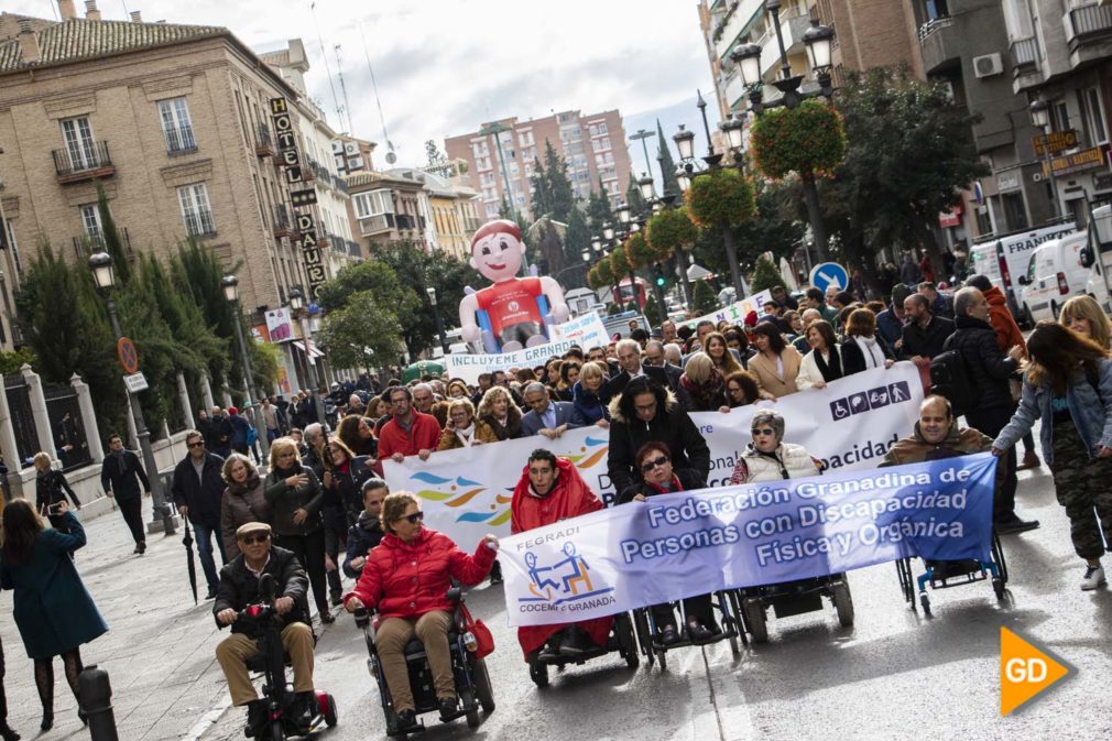 Marcha de la Discapacidad - Dani B