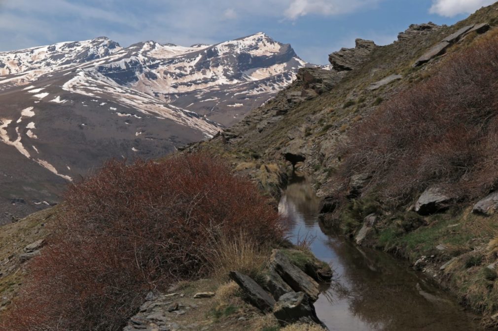 Sierra Nevada