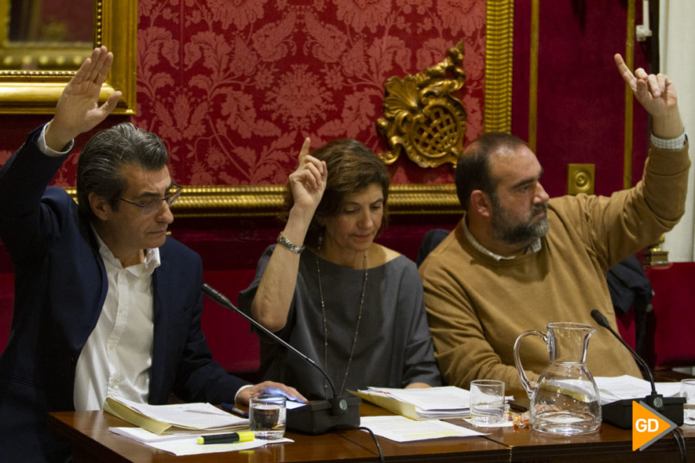 pleno del Ayuntamiento de Granada de mes de enero