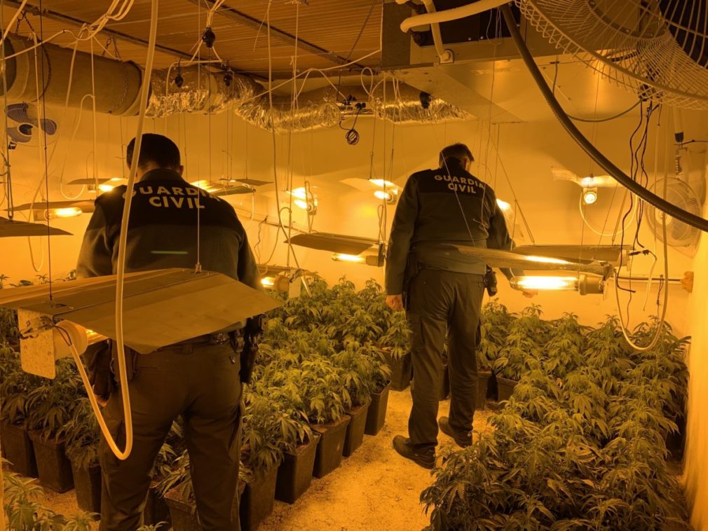 Granada.- Sucesos.- La Guardia Civil interviene 1.775 plantas de marihuana en una semana