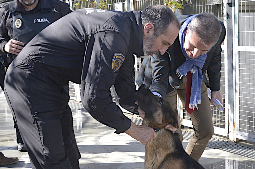 Granada2031.- Ayuntamiento asegura tener las mejores instalaciones de unidad canina de España, solo superada por Madrid