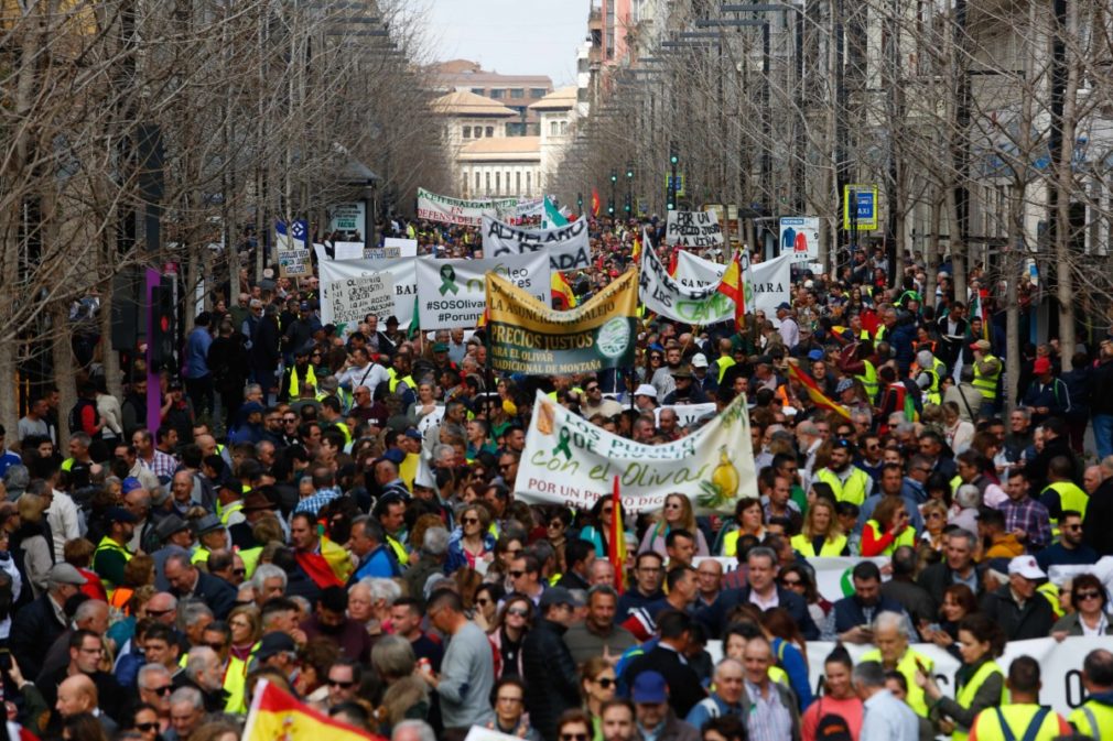 Manifestacion de agricultores con tractores a su entrada en Granada