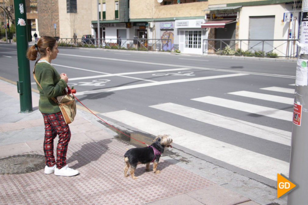 Gente paseando perros - Dani B